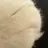 담임쌤
