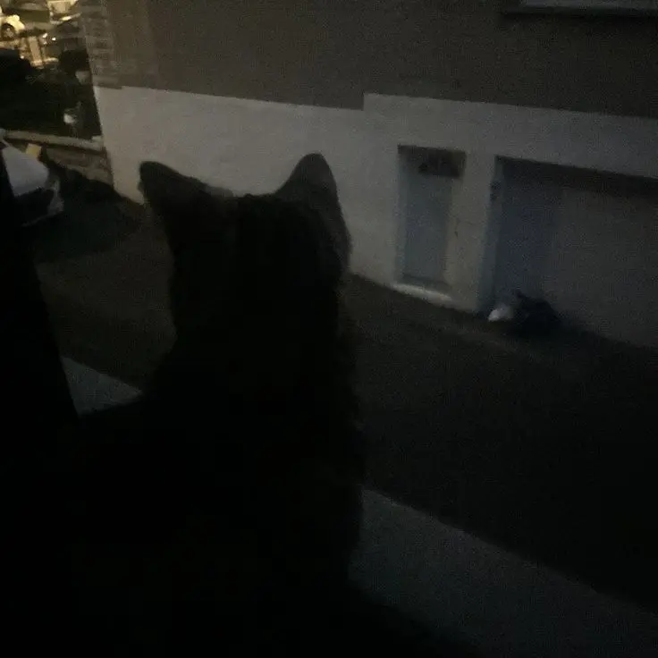 owsnt의 ︎