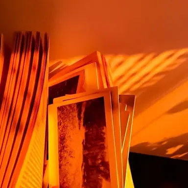 Profile image of 박덕개