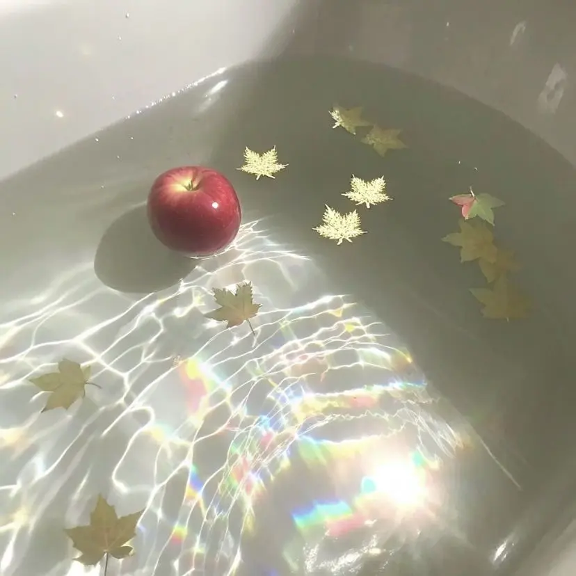 SnowyViper6021의 お兄ちゃん