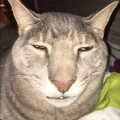 Profile image of 여우