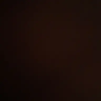 Profile image of 레인