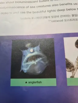 Profile image of 감만우