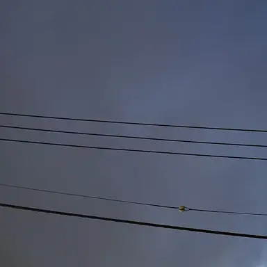 Profile image of 深澤辰哉