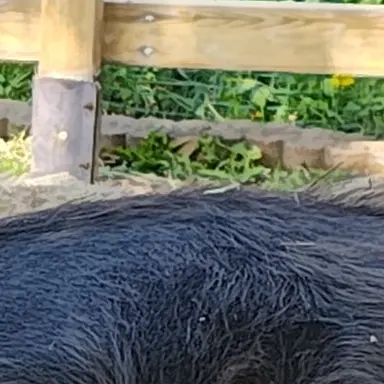 Profile image of 目黒蓮