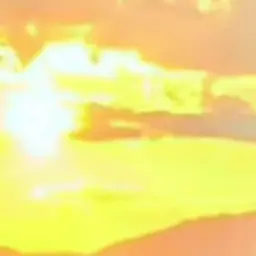 Profile image of 向井康二