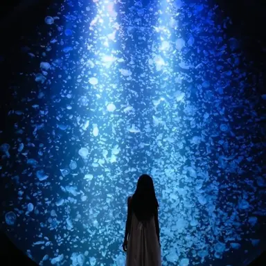 Profile image of Rinon Aiba