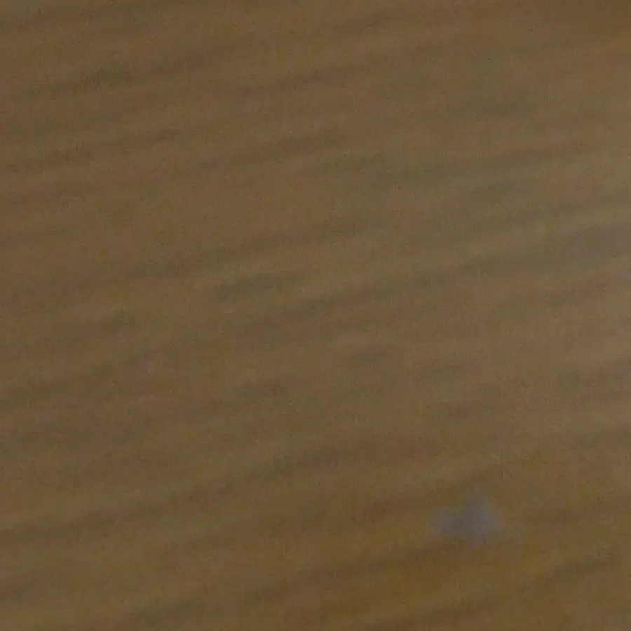 SleepyFrond9735의 小学校生活