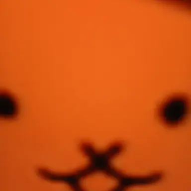 Profile image of 아라비안 냥코