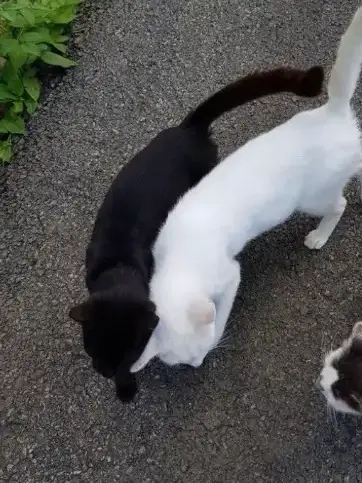 AcridMop2538의 家庭教師
