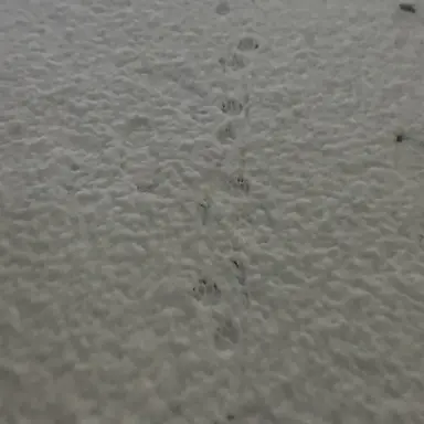 Profile image of 김민규