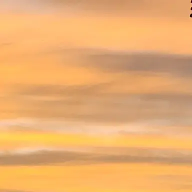 Profile image of 잭