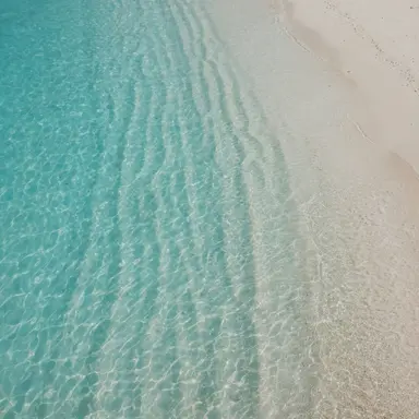 Profile image of 문다린