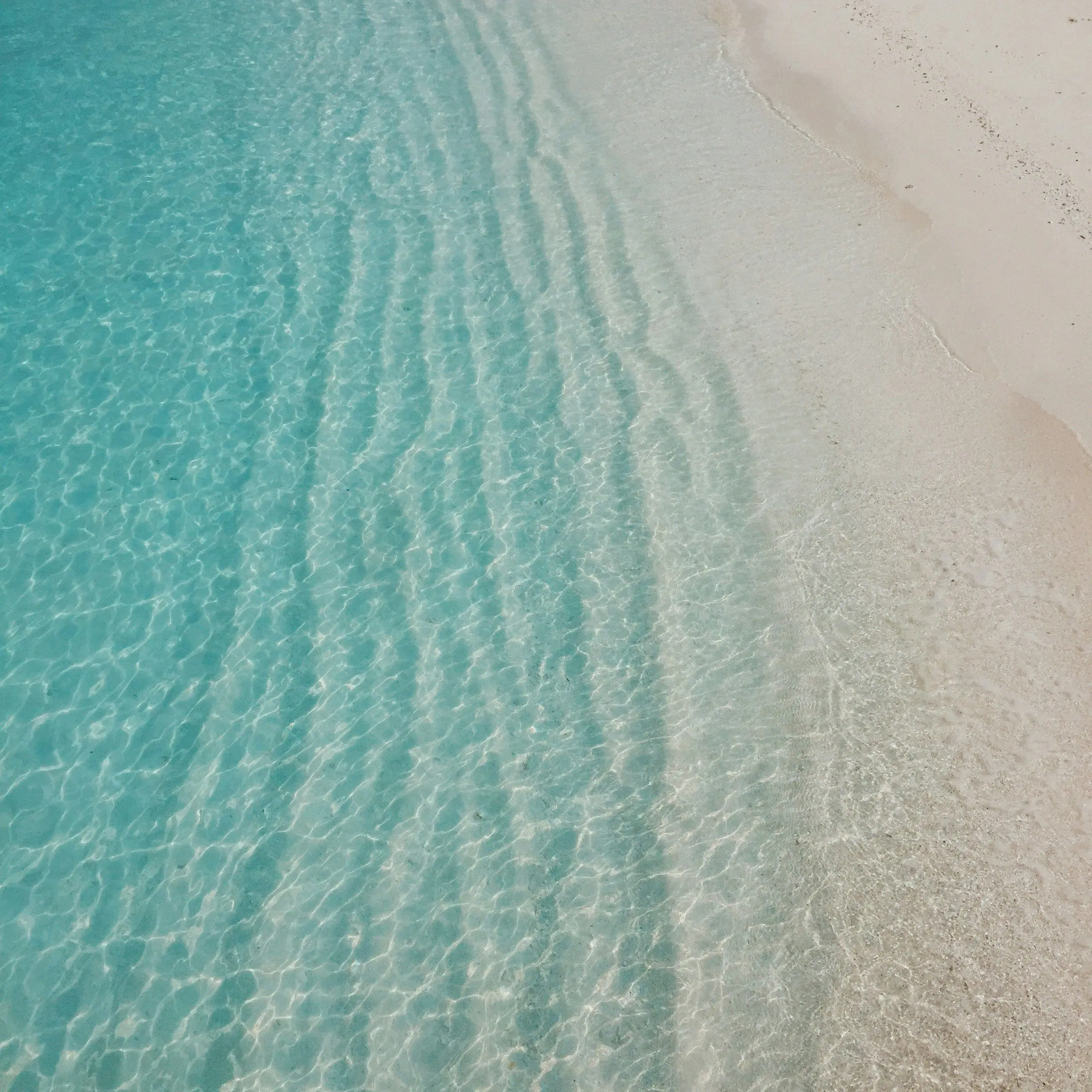 msg_1113의 My darling!