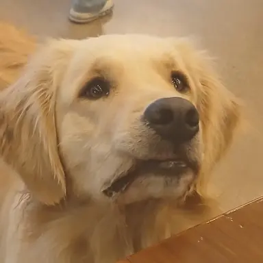 Profile image of 김가원