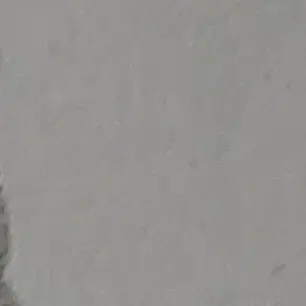 Profile image of 기유랑 시노부