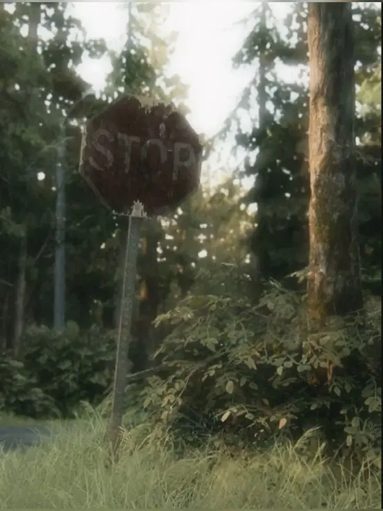 tuedec23의 서재진