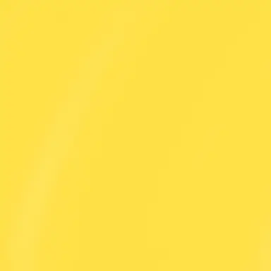 Profile image of シャオロン