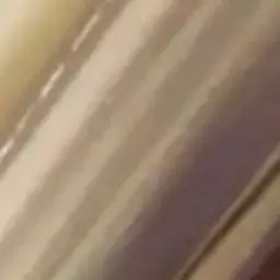 Profile image of ブリ子