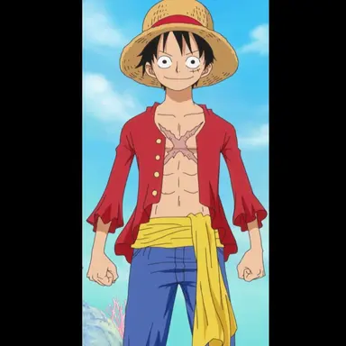 Profile image of Captain Luffy
