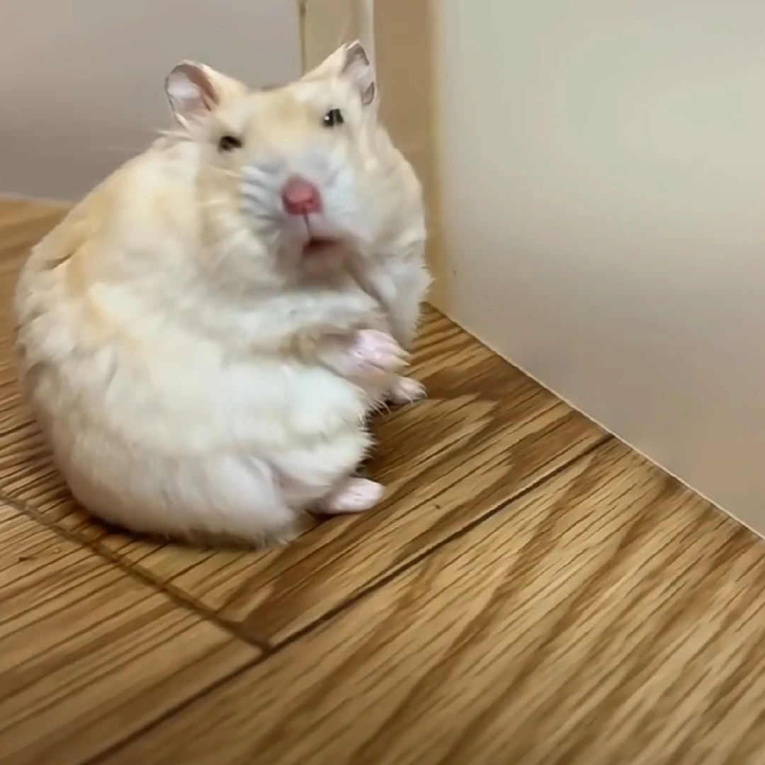 해미