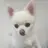 별이