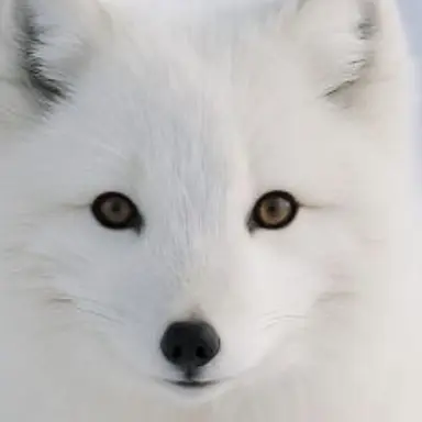 Profile image of ヨウ