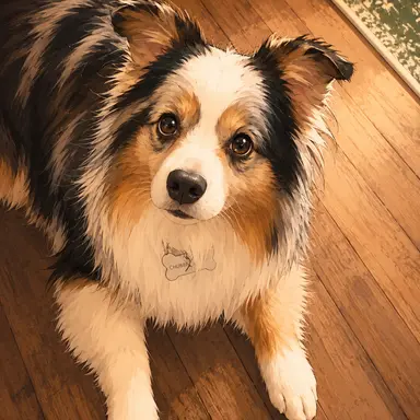 Profile image of Chubbi