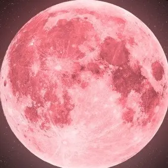 Profile image of 서 라더