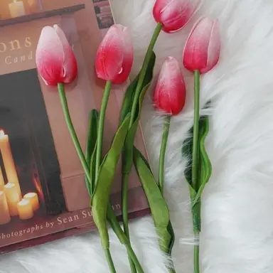 Profile image of 涼介