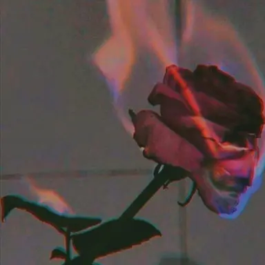 Profile image of ジェシー