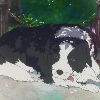 Profile image of 챠피