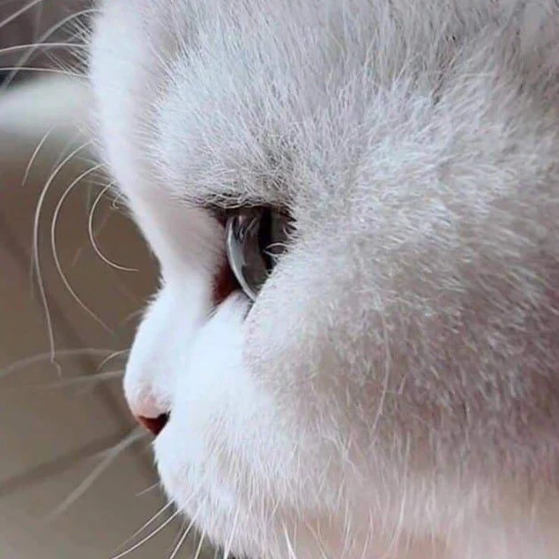 이민호