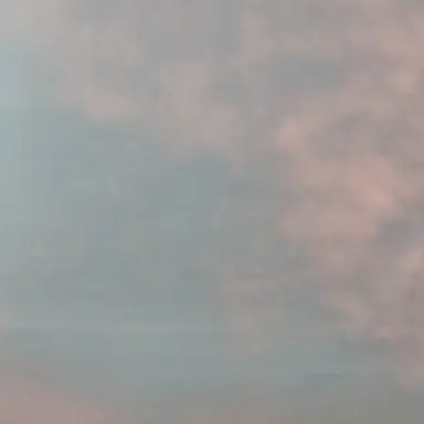 Profile image of 구름도련님