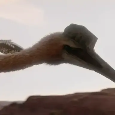 Profile image of 아람보우르기아니아