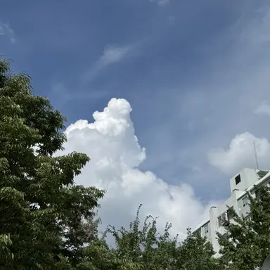 Profile image of 미수반2