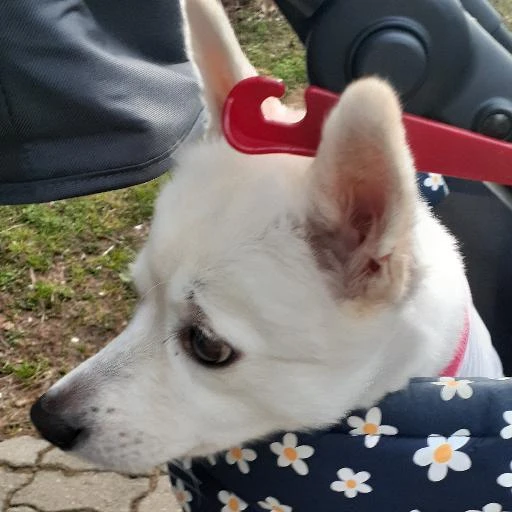 겨울