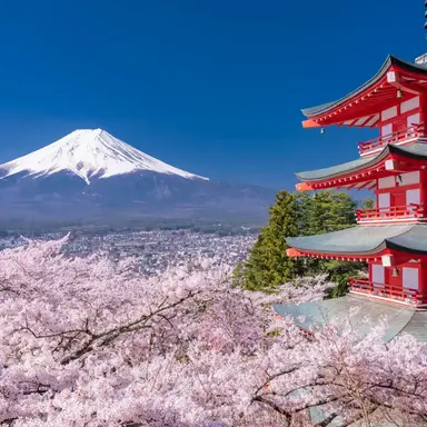 Profile image of 羽立