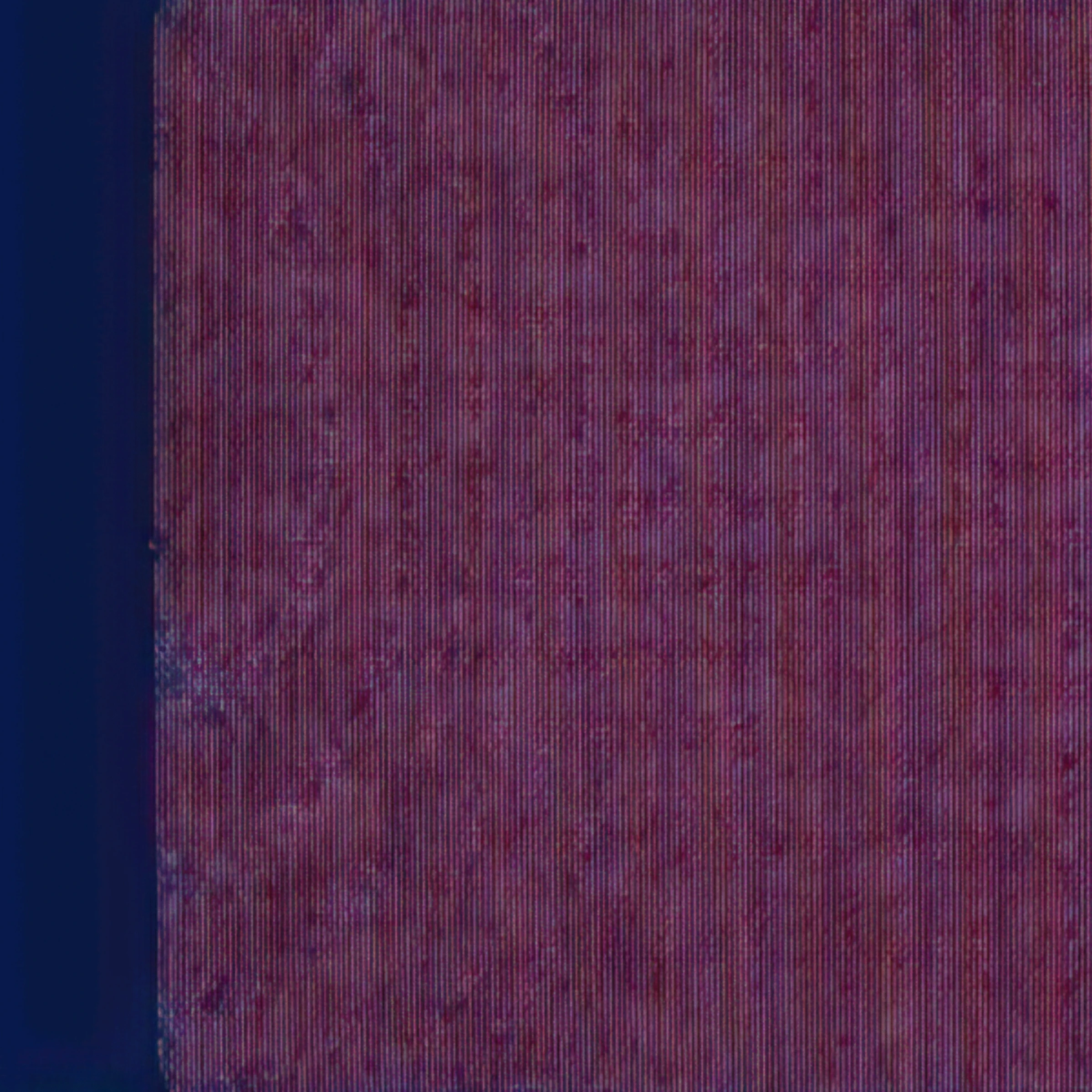 학생 게임
