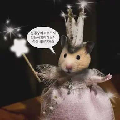 Profile image of 여우