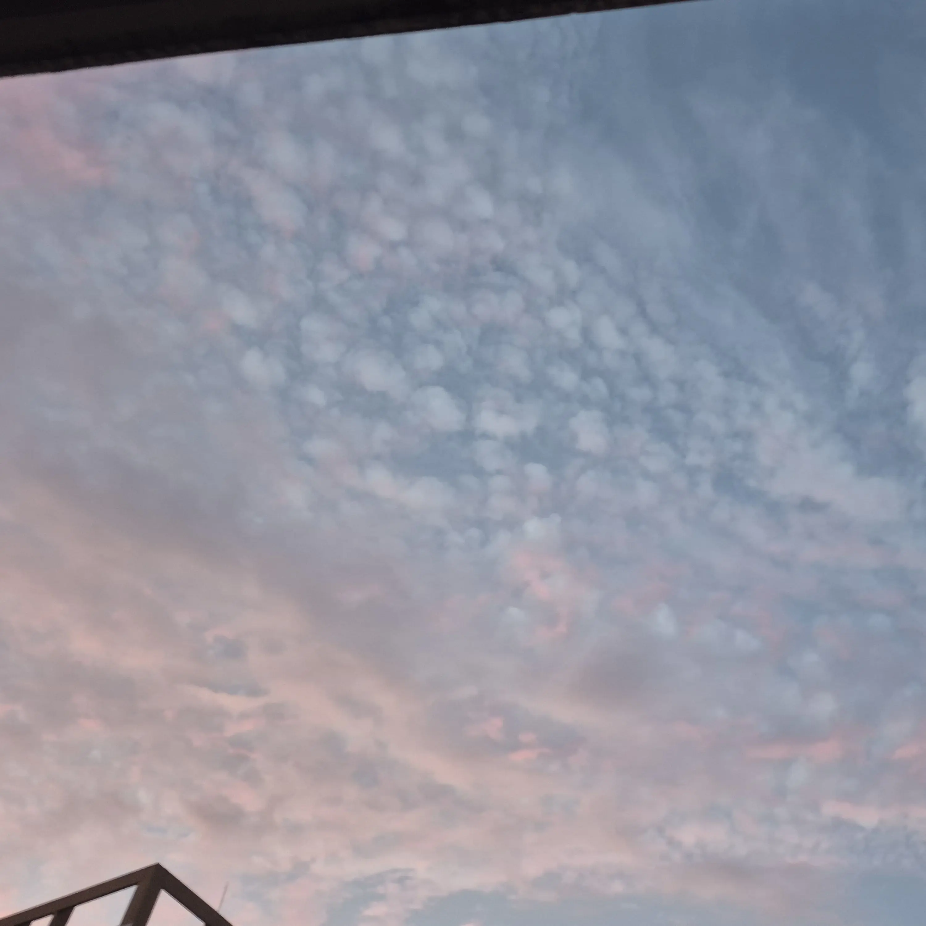 FairYabby9439의 낮과밤이 오져스