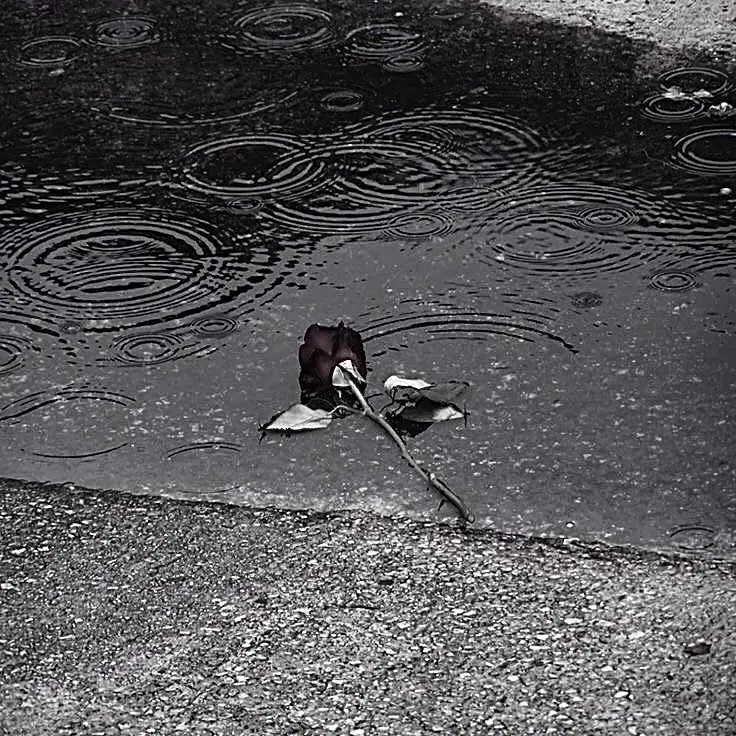 Petiter_.als의 Yes or Yes