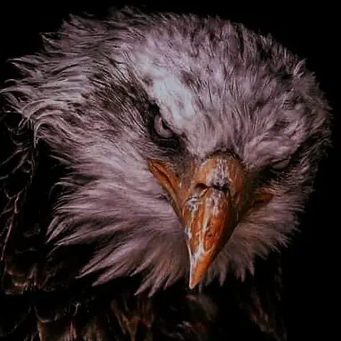 Profile image of ビア