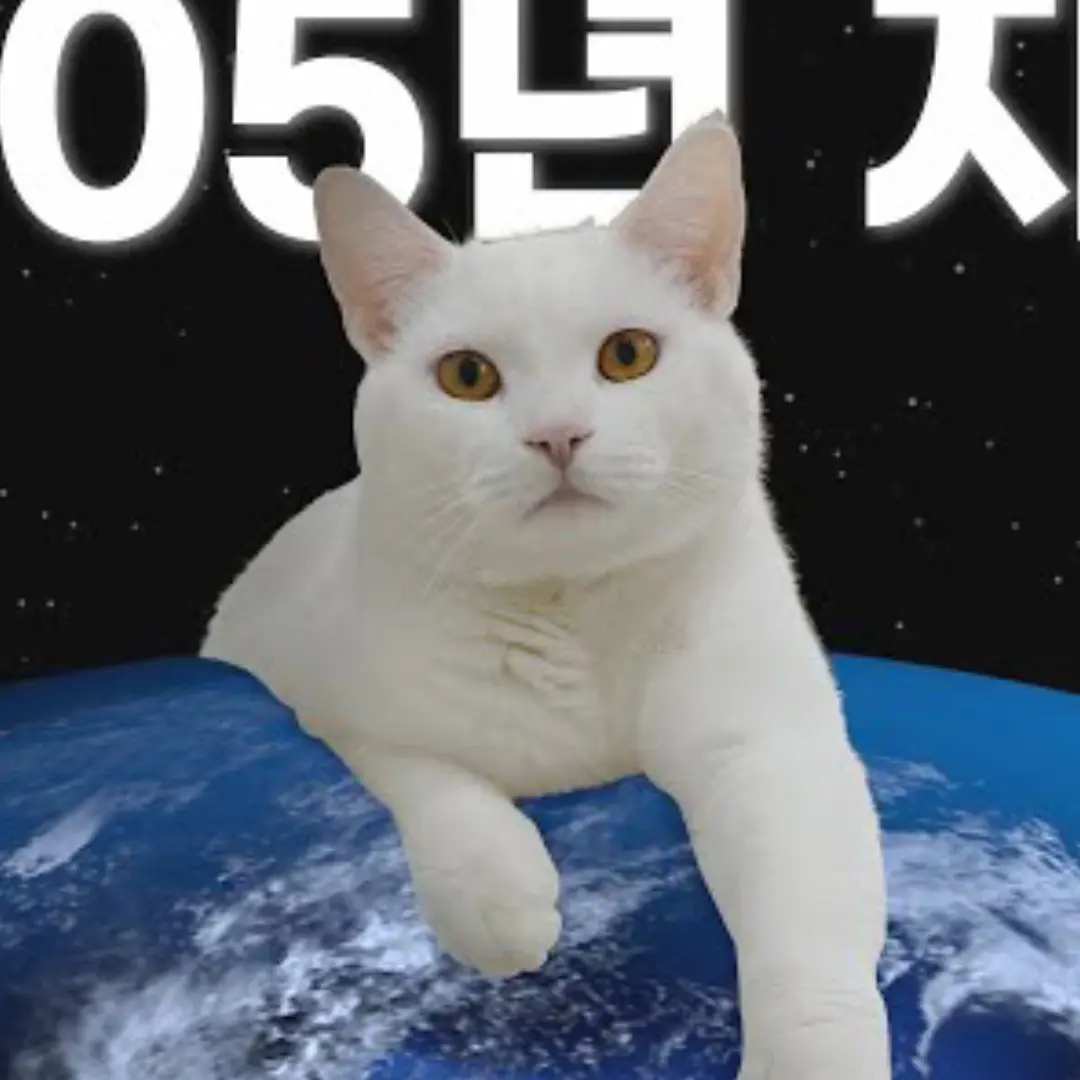 CustomMango1599의 고양이산책 생존개임