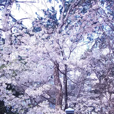 Profile image of 리아