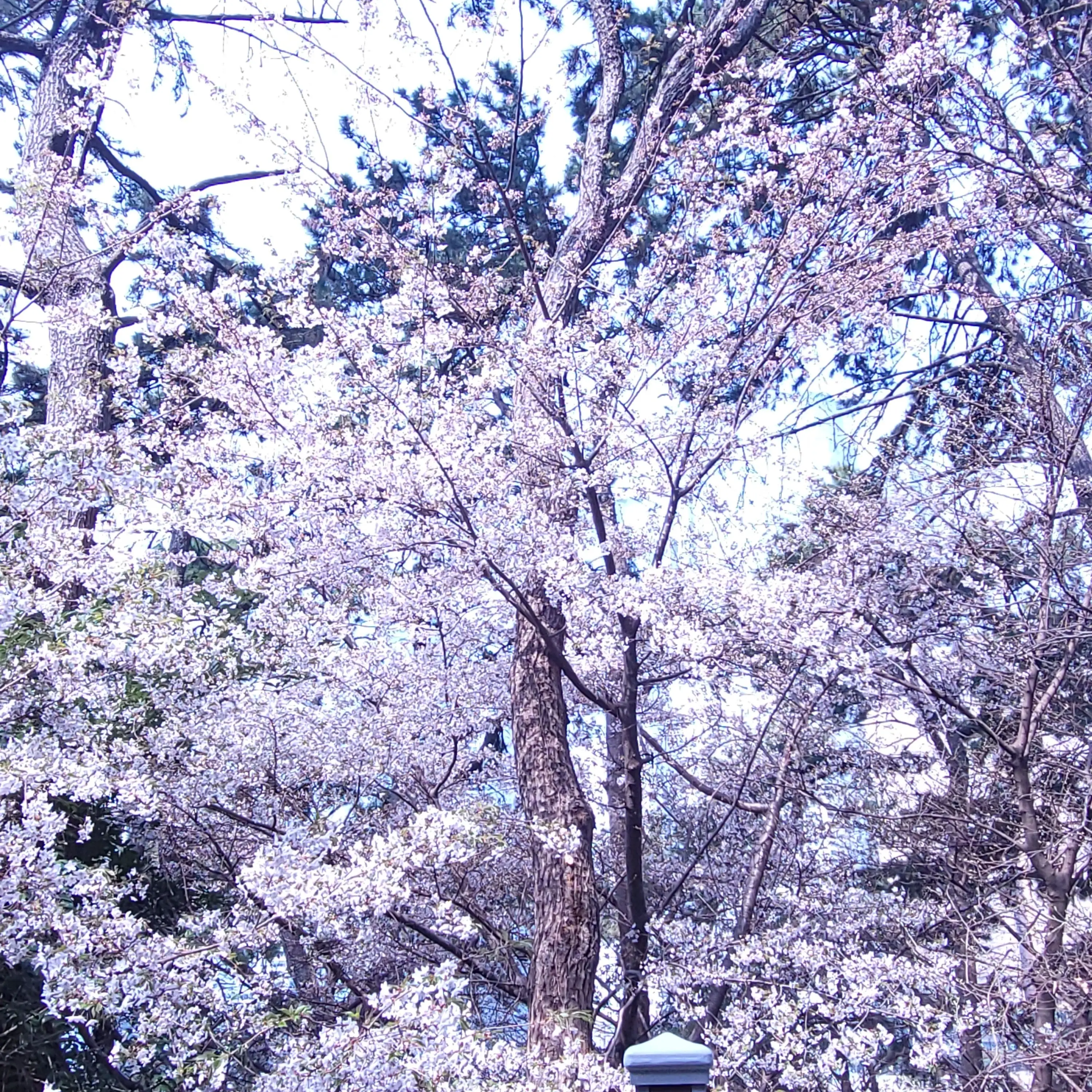 AptFilm2904의 공지