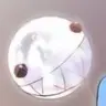 Profile image of 버블