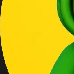 Profile image of 거북이 닌자