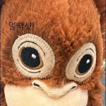 MuskyStool4251의 만원주면 키스해준다는얘