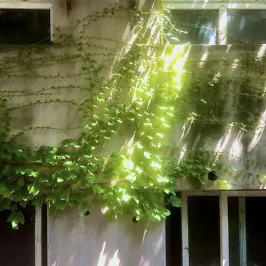 Profile image of 정형준